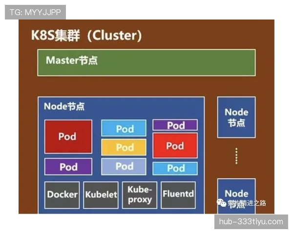 关于后场规则的全面解析：从基本定义到实战判罚要点